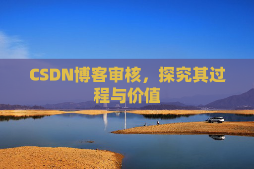 CSDN博客审核，探究其过程与价值